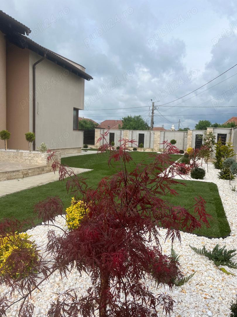  Servicii peisagistice