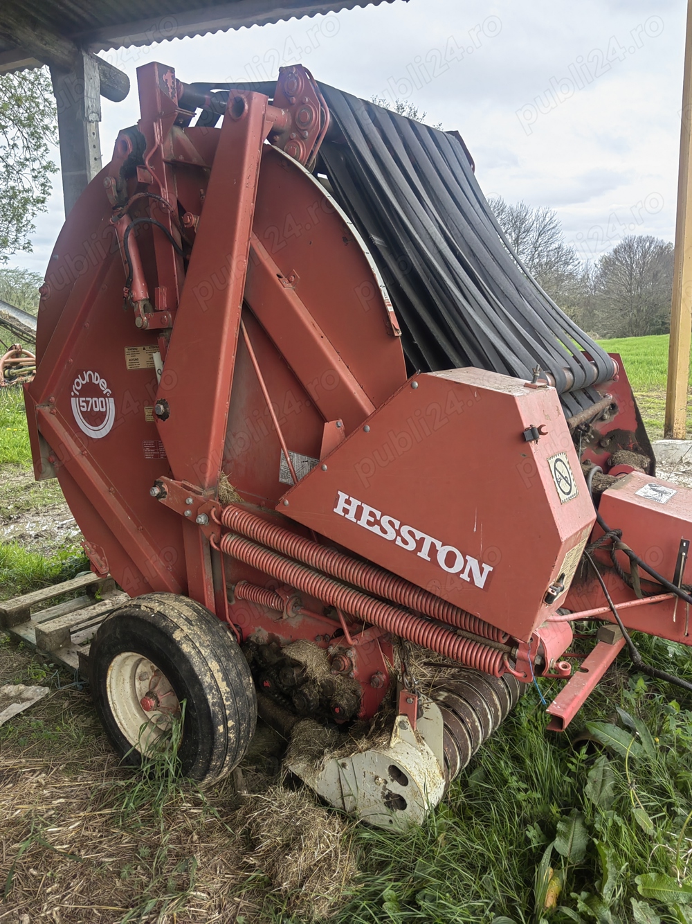 Balotiera baloti rotunzi