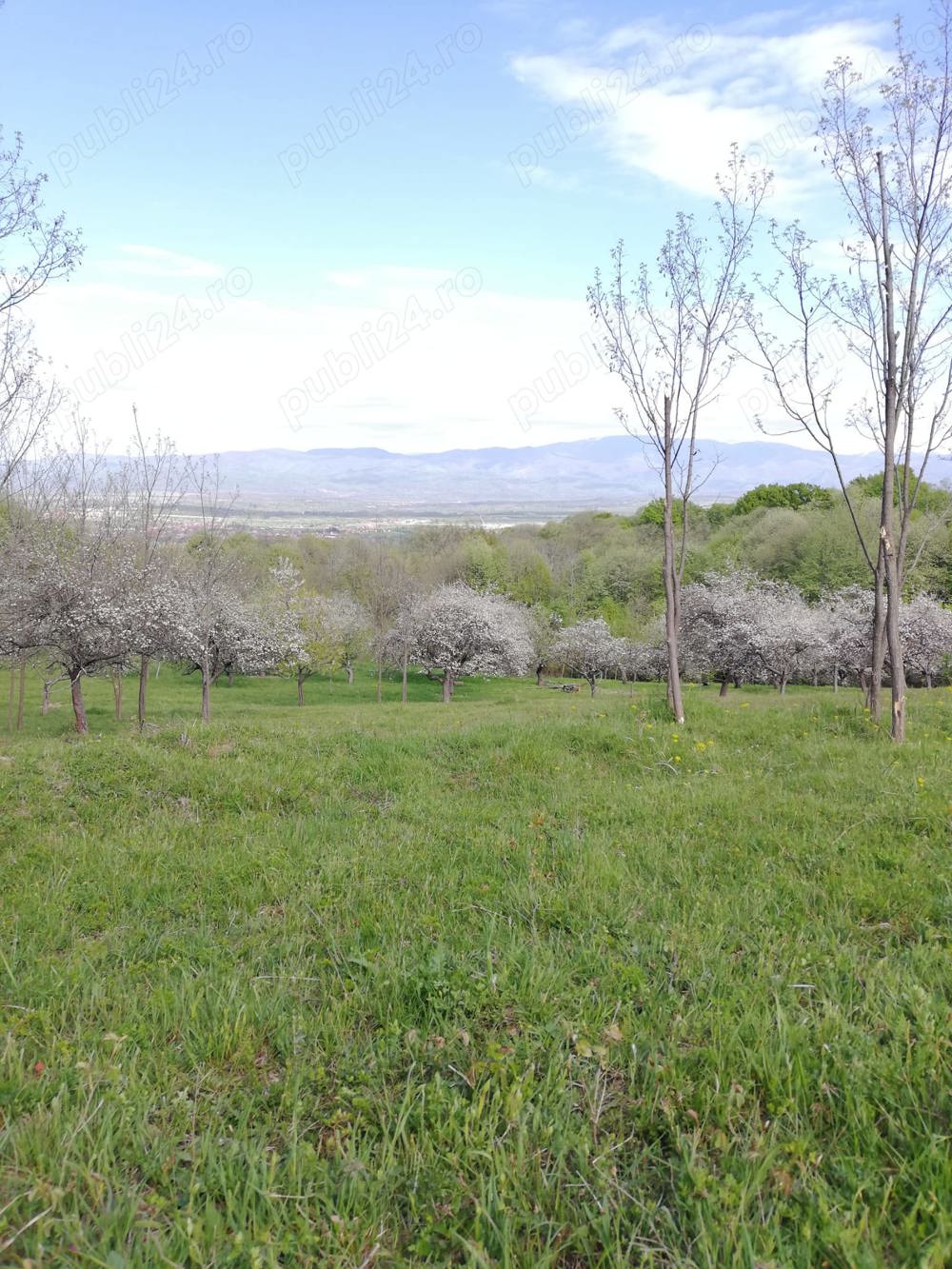 Vând Teren 18.813 mp Caransebeș - Zona Teiuș, Ideal pt casa de vacanță și ecologice .