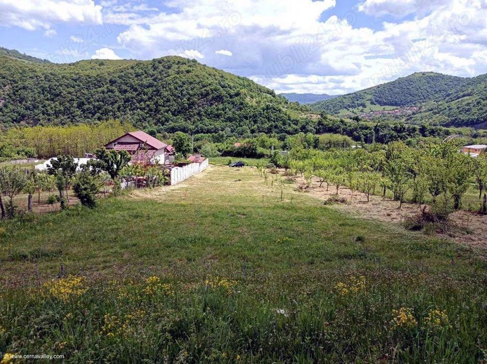 GRATIS in Orsova poti cultiva legume