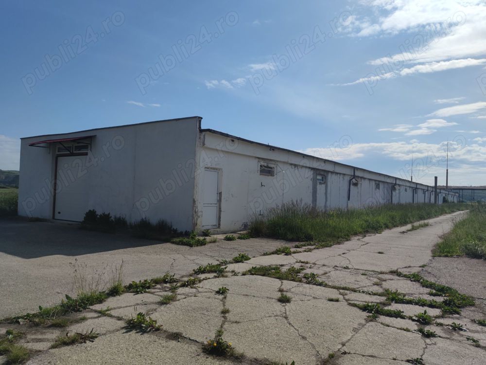 Teren intravilan, soproane si hale in zona pentru servicii  industrie  depozitare - Bod.