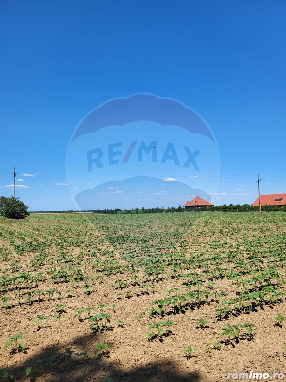 Teren intravilan 5,000 mp Peris IF