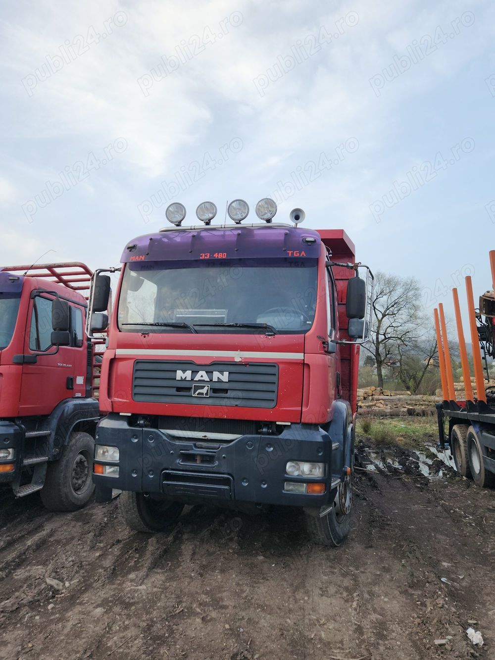 MAN Tga  transport lemn