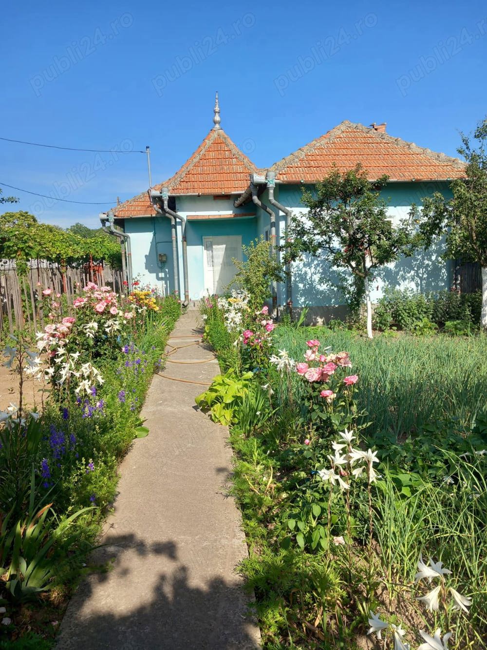 URGENT, gospodarie completa (+auto) in comuna CORLATEL, Mehedinti