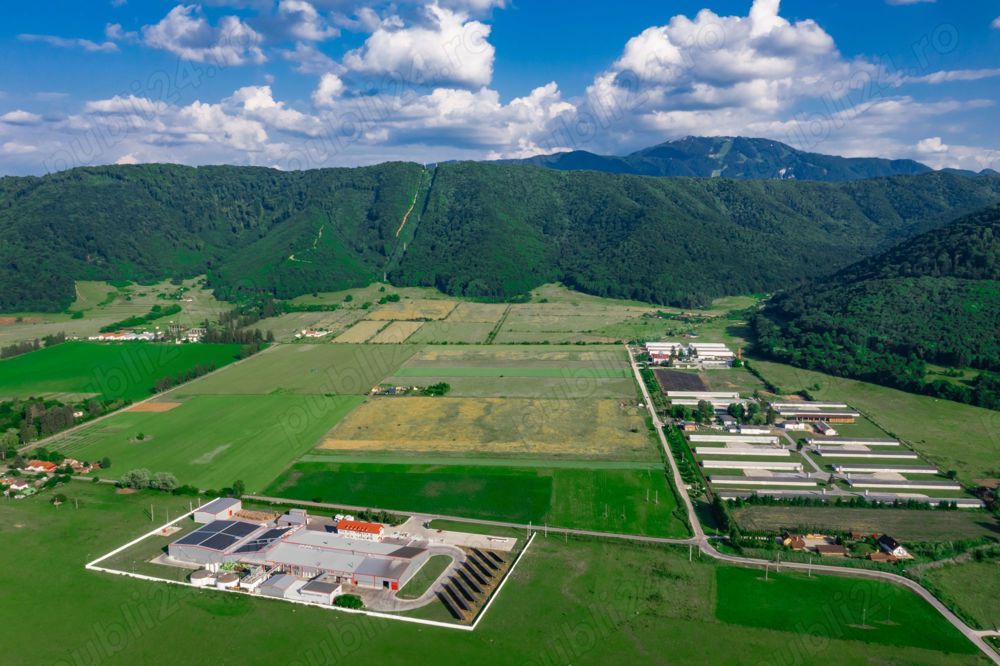 Tractorist pentru ferme de păsări