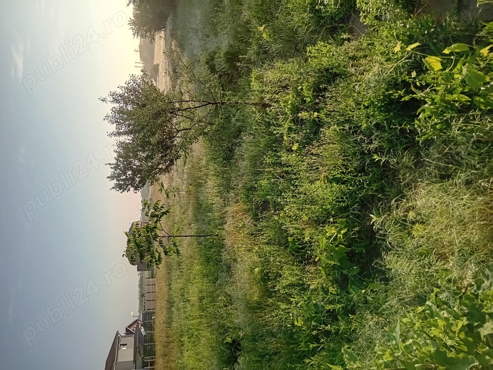 Teren intravilan 4200mp 