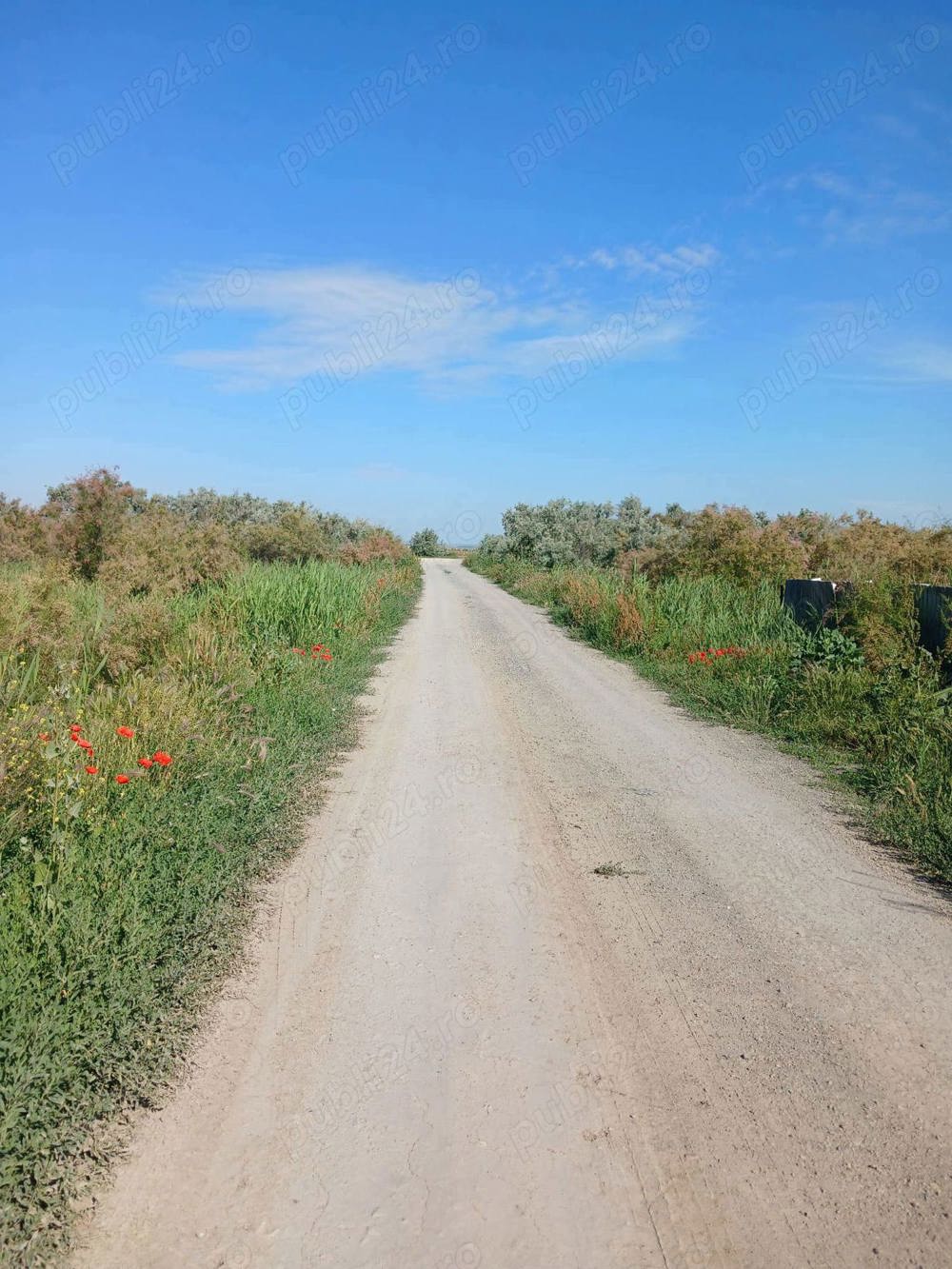 Teren intravilan 500 mp Manastirea Navodari-Midia Sat 