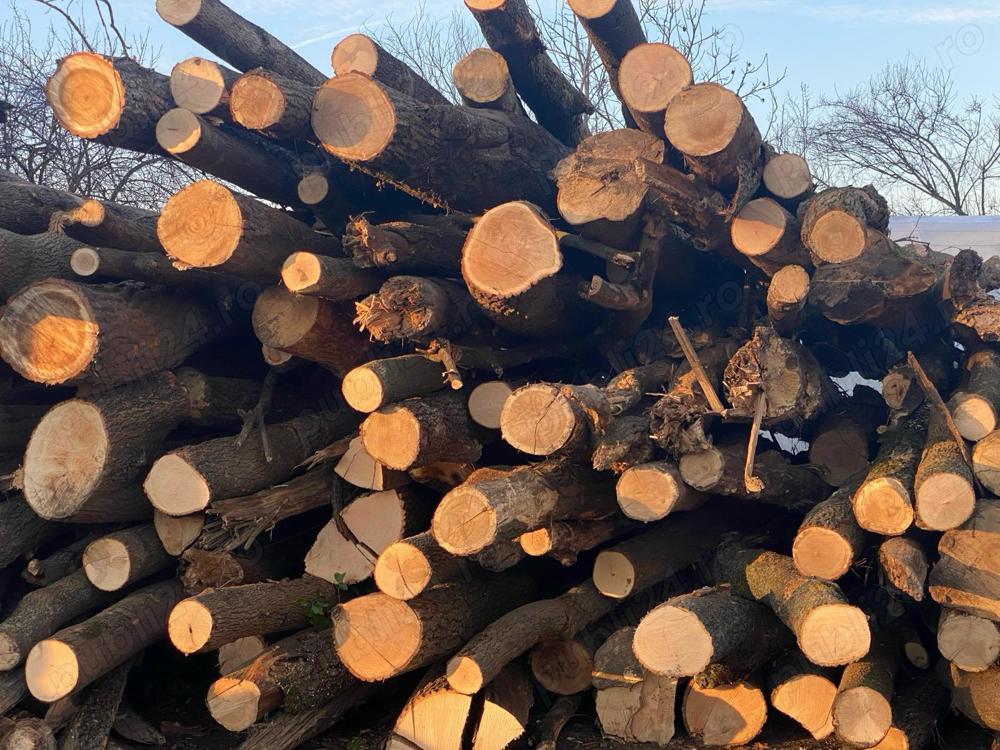 Busteni de foc frasin stejar foarte uscati - livrare la domiciliu