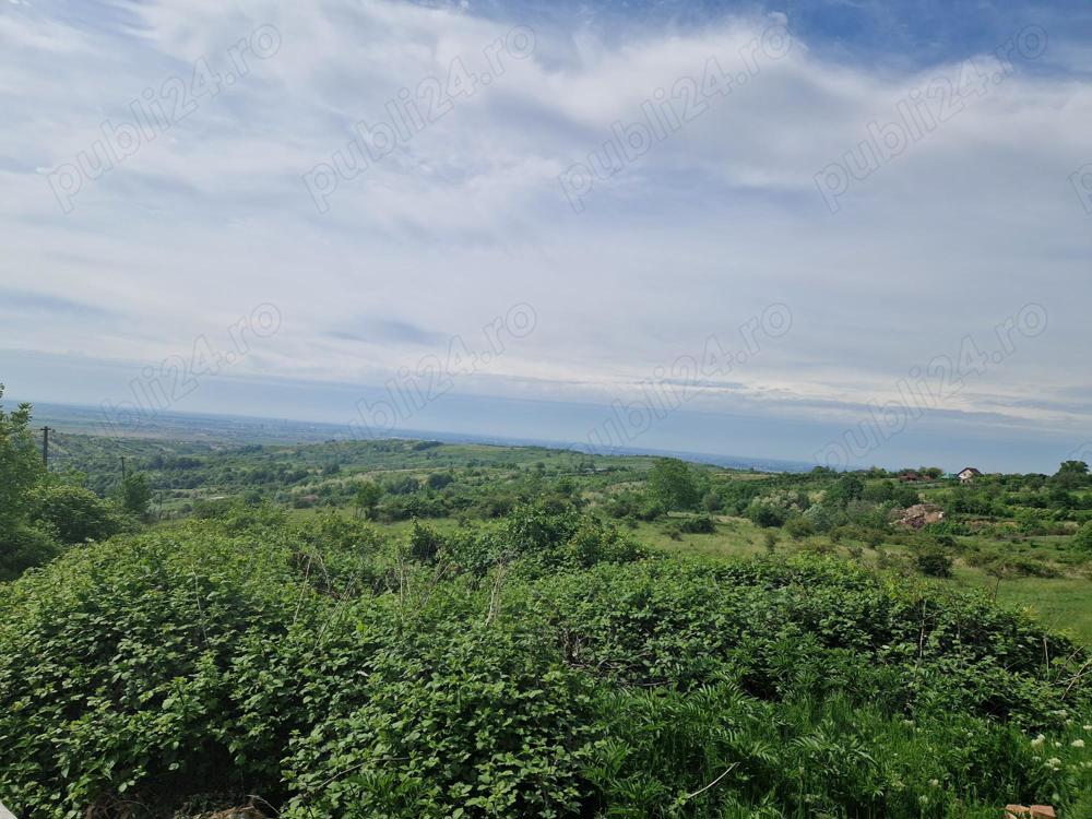 Teren Seciu 18000mp intravilan + extravilan 