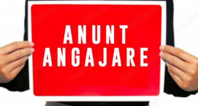 Angajare personal Casa Batiz