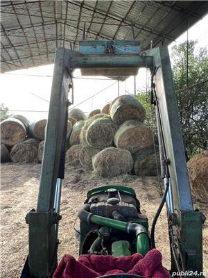 angajam ingrijitor cai baza de echitatie Jebel Timis 