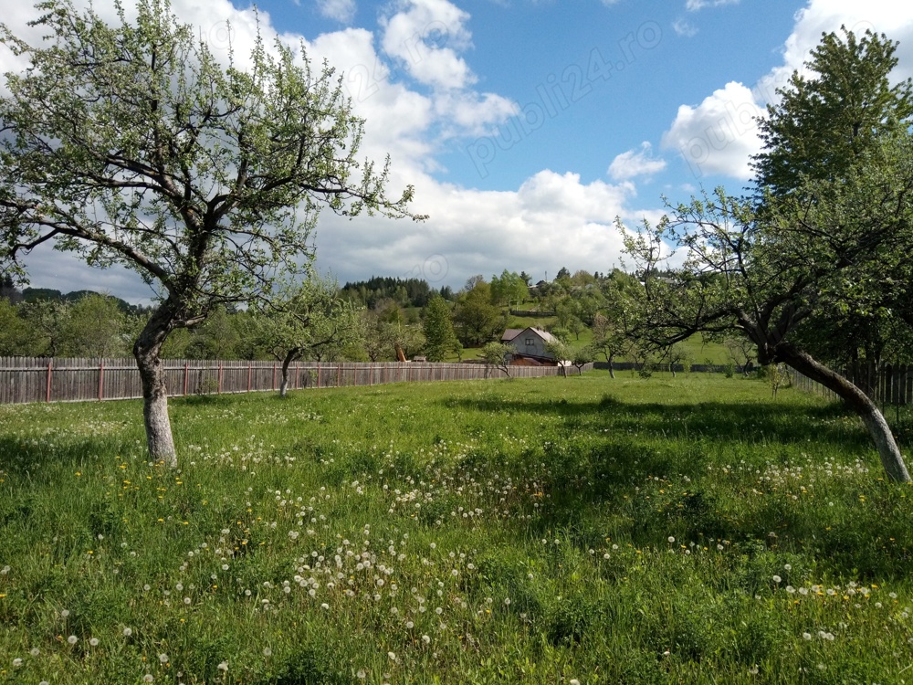 Vand teren intravilan la munte, in Nereju, Vrancea