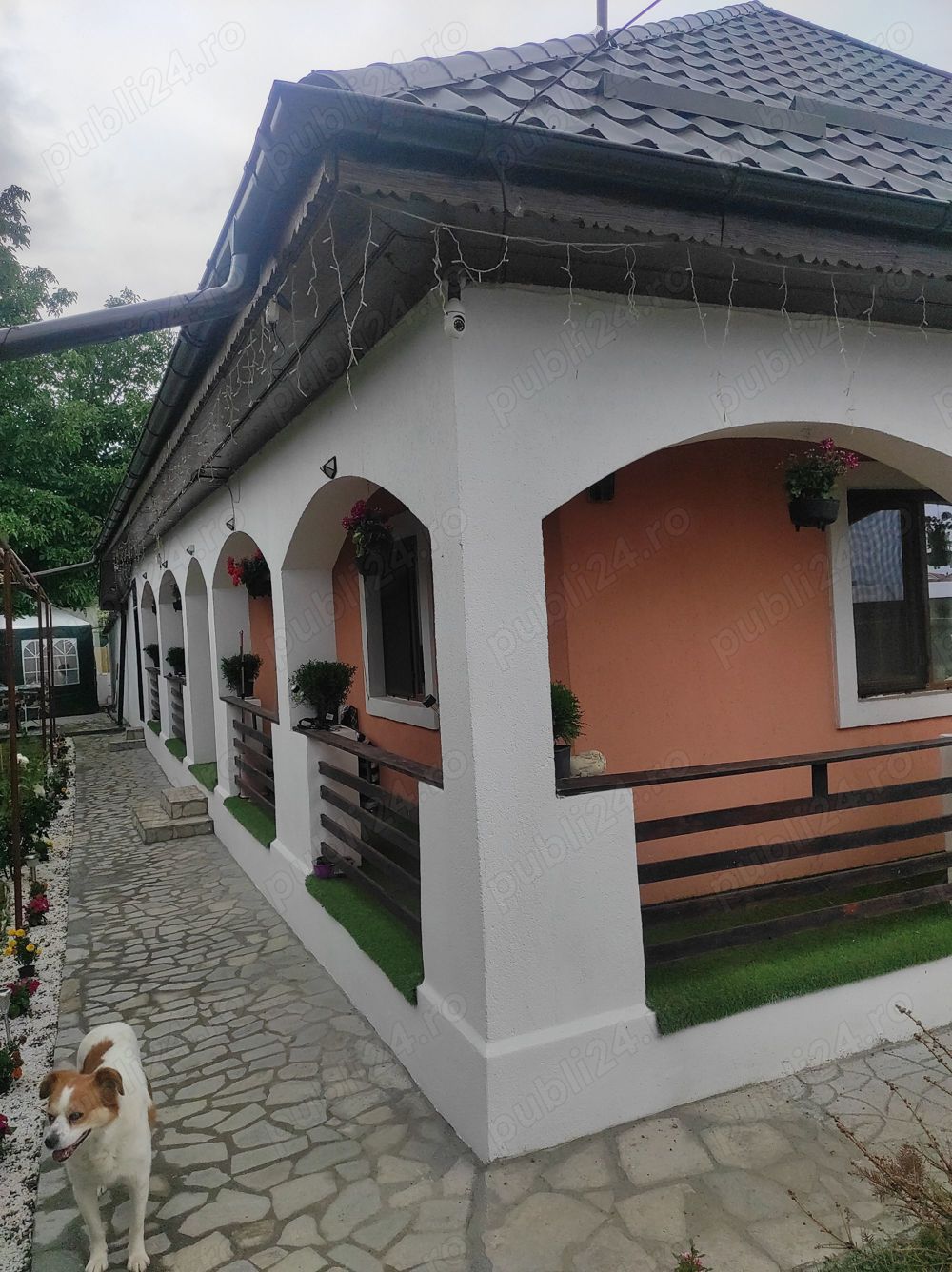 Închiriere casa, cameră -B&B