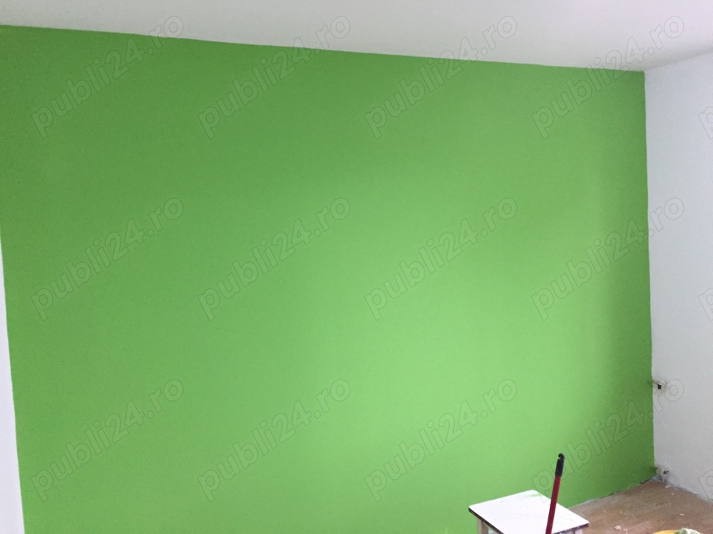 Execut lucrări de zugrăvit.