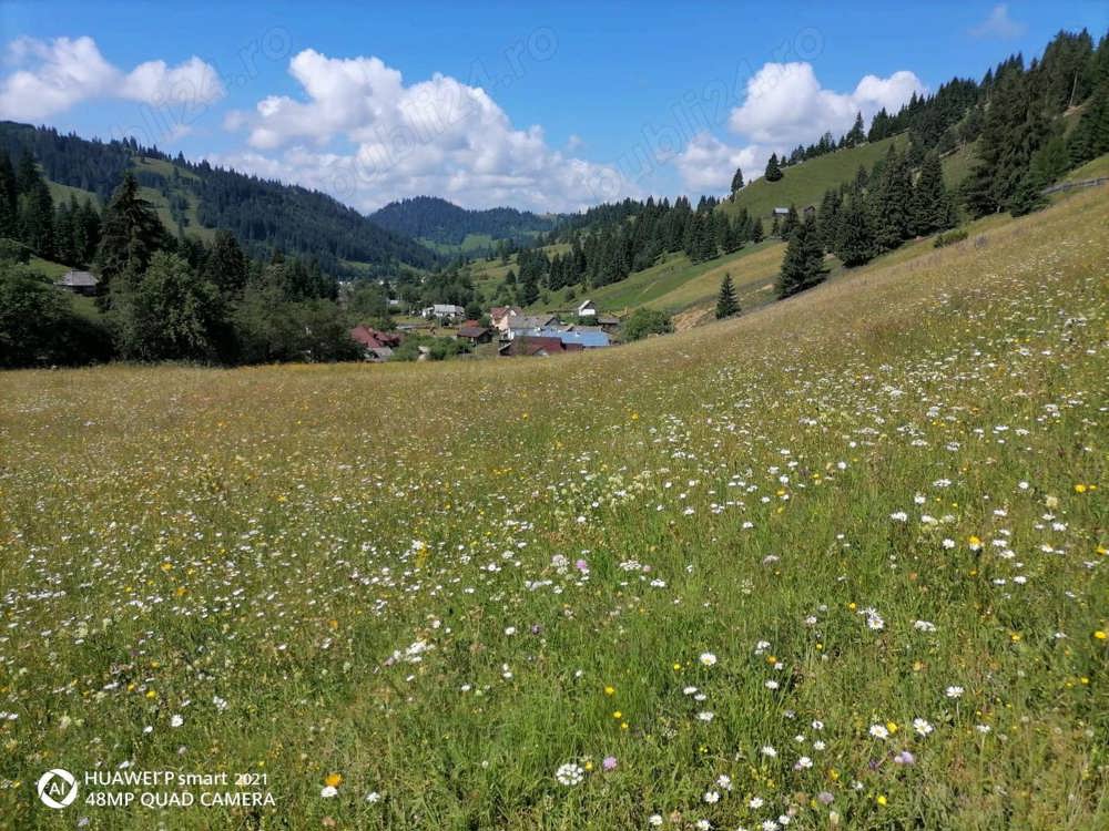 Teren de vanzare 9400 mp intravilan in Bucovina comuna Breaza