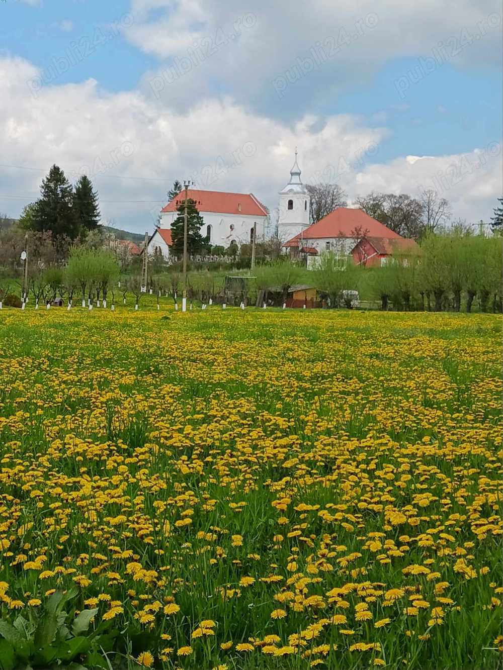 Terenuri intravilane Moacsa.