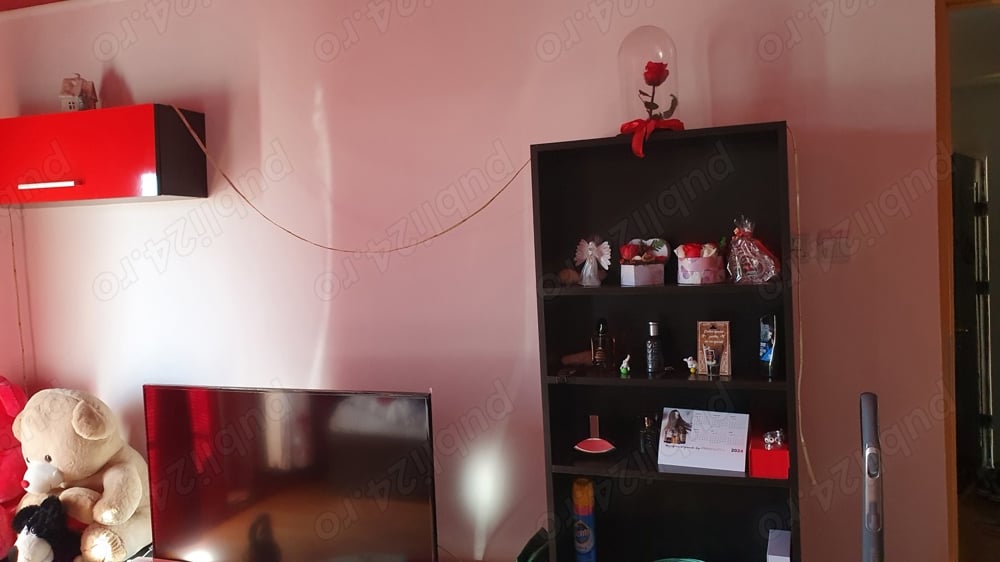 vand apartament cu o camera Lugoj