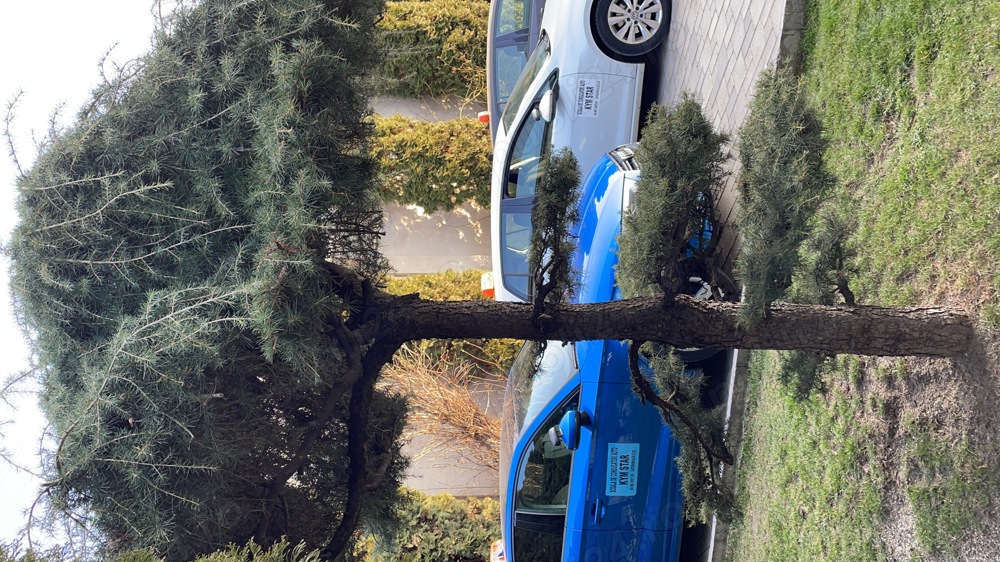 angajam profesor legislatie rutiera si instructor auto