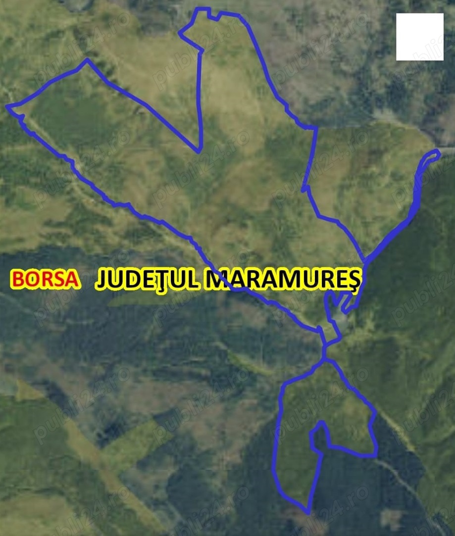 De vânzare: 530 ha pădure de foioase și rășinoase în Borșa, județul Maramureș