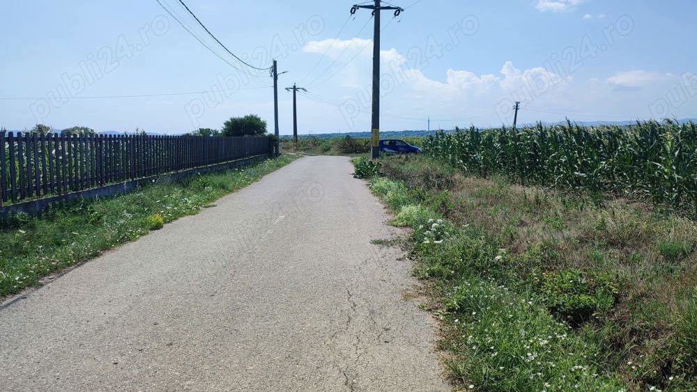 Teren intravilan Schineni Bacau