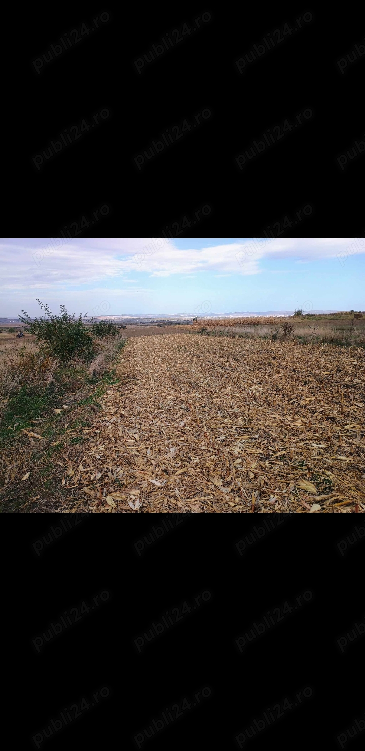 VÂND TERENURI AGRICOLE EXTRAVILANE ÎN CÂMPUL POPLĂCII 