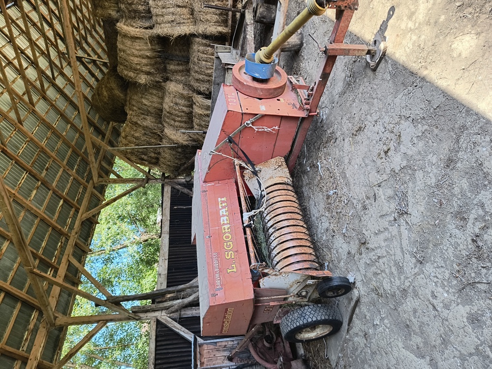 Vind balotiera zgorbati italiană 