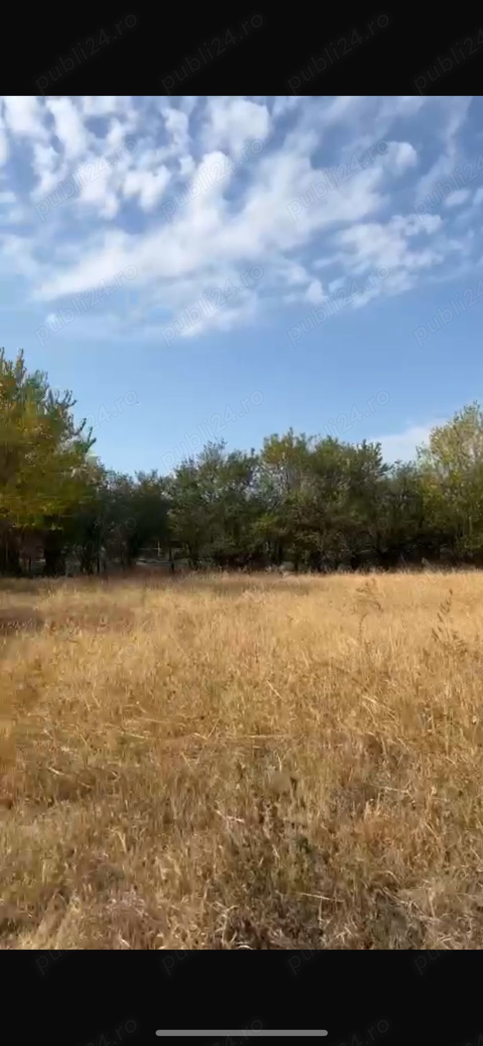 vanzare teren intravilan cornatelu  dambovita