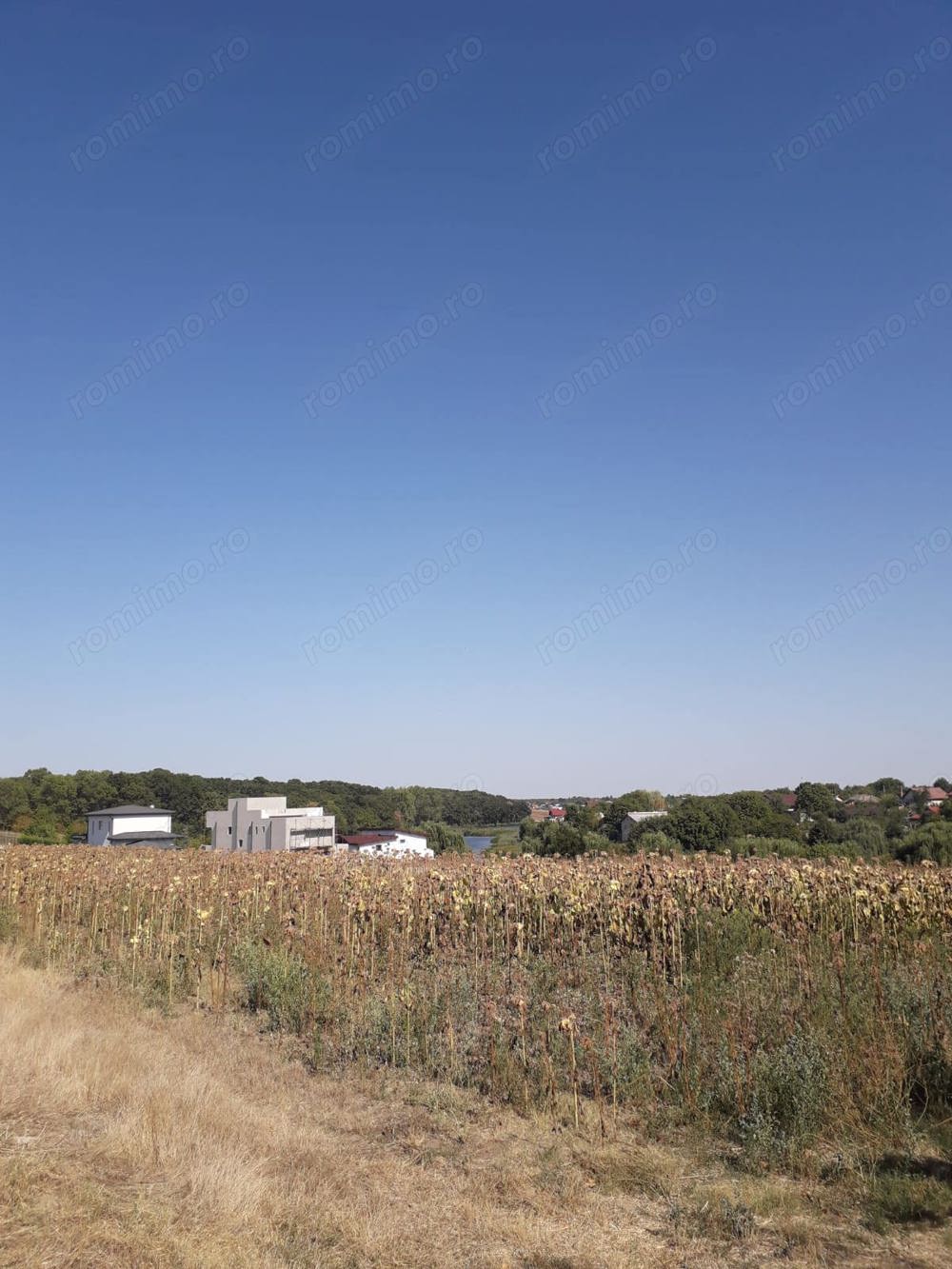 Proprietar vând teren intravilan la pădure cu vedere spre lacul din zona Moara Vlăsiei(Vlăsia)jud.If