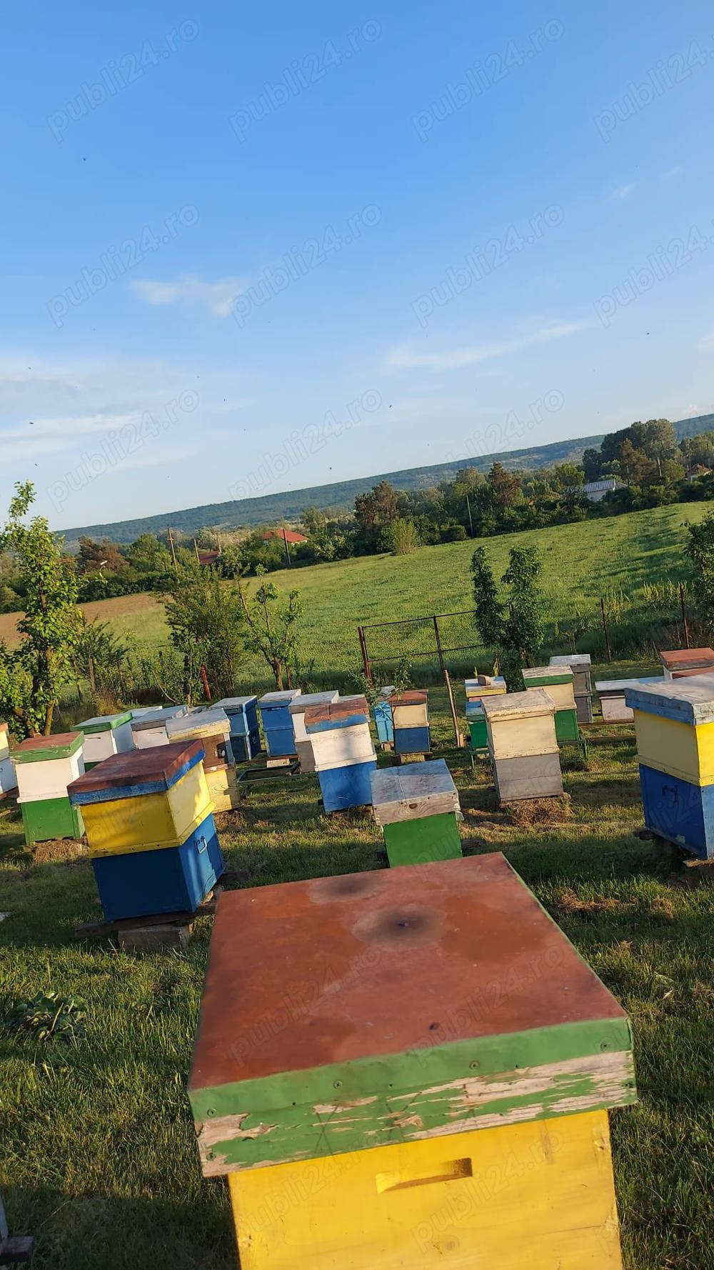 Casă de vânzare Butoiești, Mehedinți 