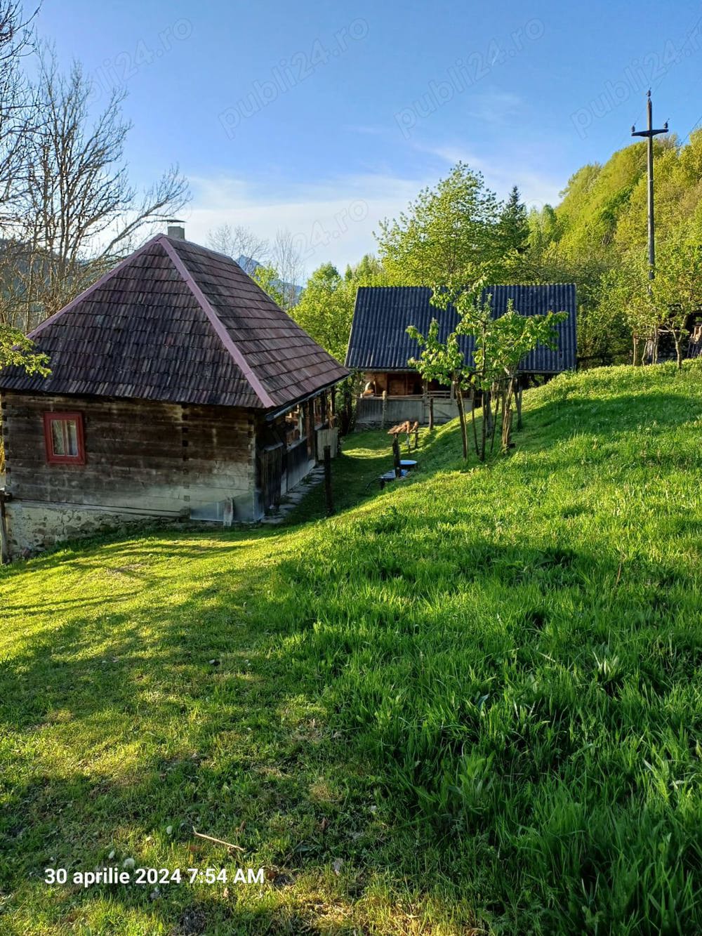 Vand proprietate gospodarie in zona montana com. Lupsa, jud. Alba