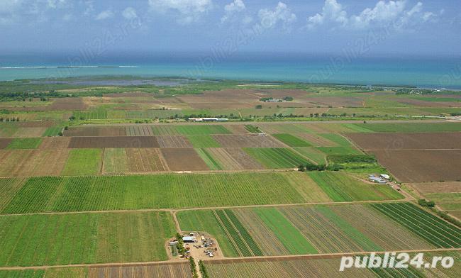 Vand teren agricol extravilan in Tătărăștii de Sus, Teleorman