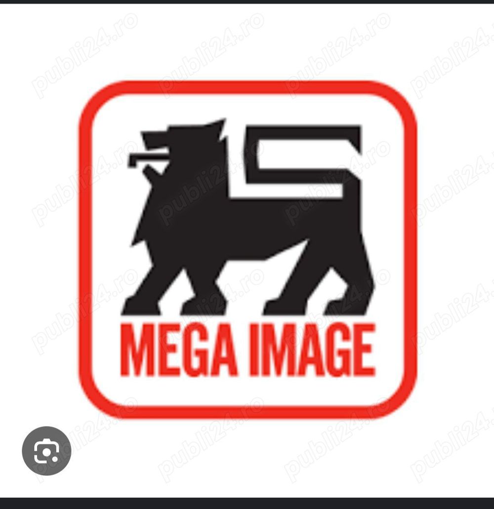 Angajam Lucrator Comercial Casier Mega Image Shop&Go