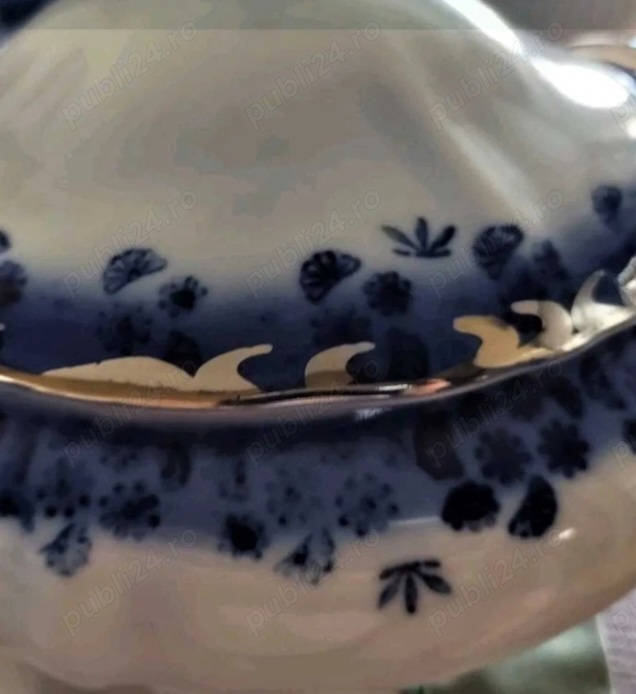 Vând serviciu 12 persoane cobalt