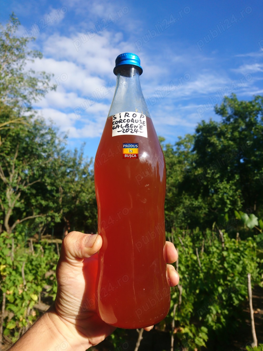 Sirop de Corcoduse Galbene