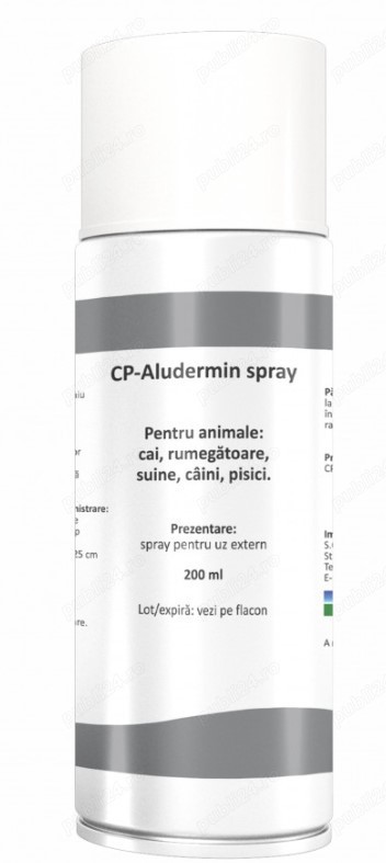 Aluminium spray - 200 ml Aluminium spray - 200 ml