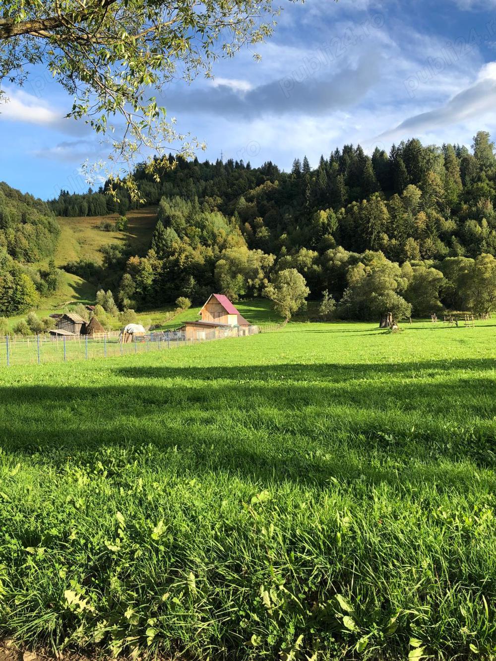 Teren extravilan zona Sandru