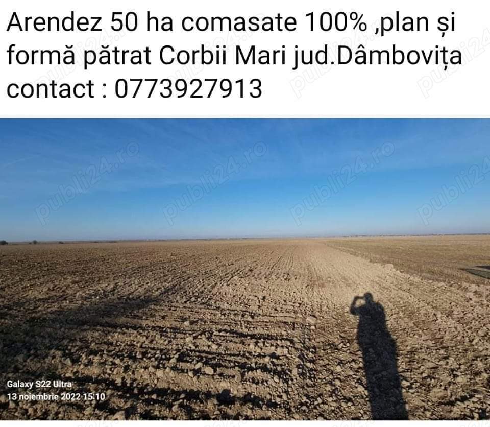 Dau în arendă 50ha 