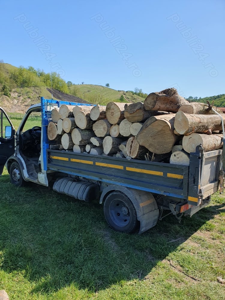 Lemn de foc la preț avantajos 