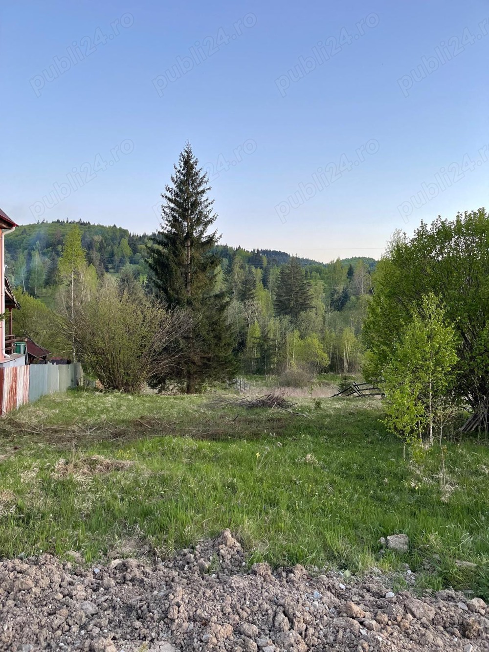 Teren Izvoru Muresului