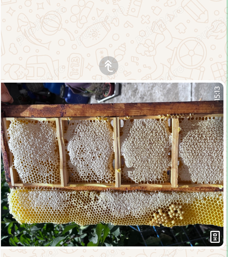 Faguri cu miere poliflora 100 % naturala