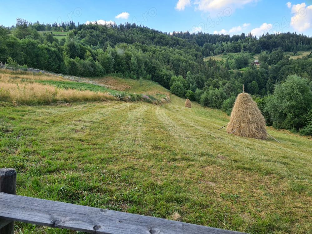 Teren la munte - Matisesti, Horea, Alba, Transursoaia