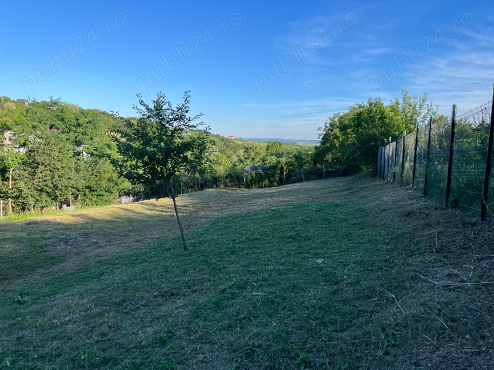 Teren zona Copou - Viticultori, intravilan