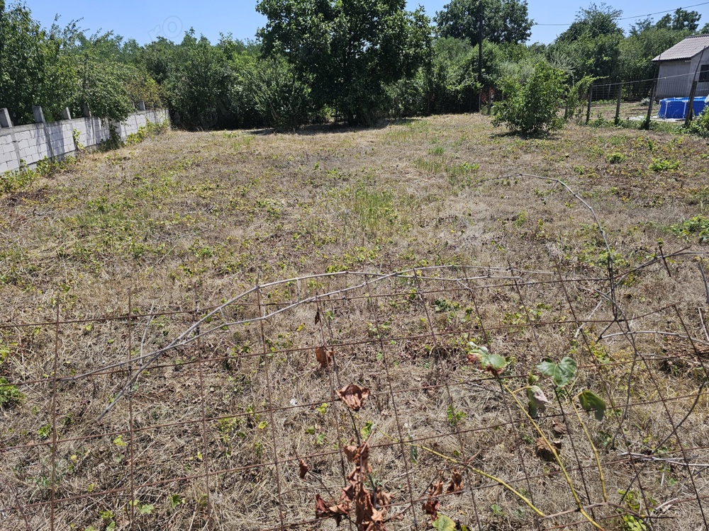 vand teren intravilan in orasul Giurgiu