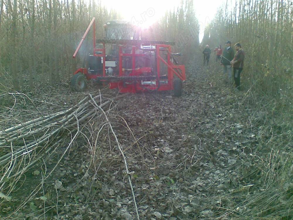 Utilaje extractie copaci