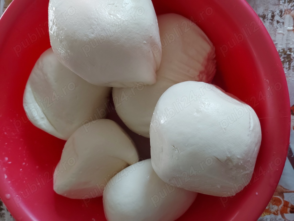 Vând branza de capra Vând branza de capra