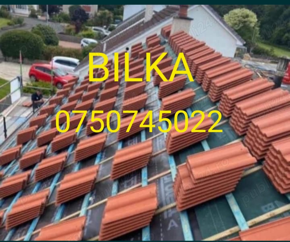 eczutam acoperișuri de la ala z 