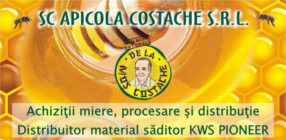 Etichete autocolante, serigrafie si print