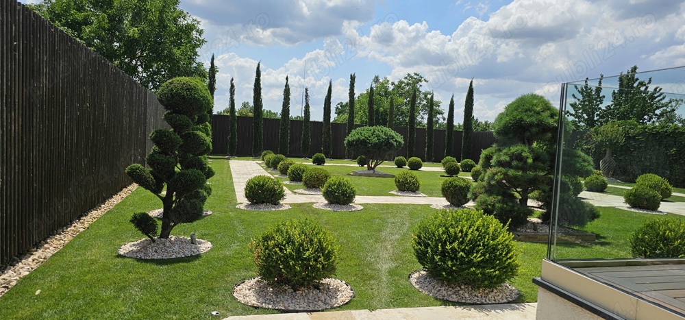 Amenajare spatii verzi , gazon , plante , proiectare