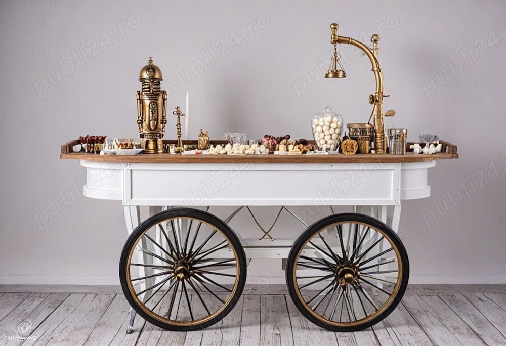 Grafica, design 3d, proiecte exterioare, fântâni, case, apartament