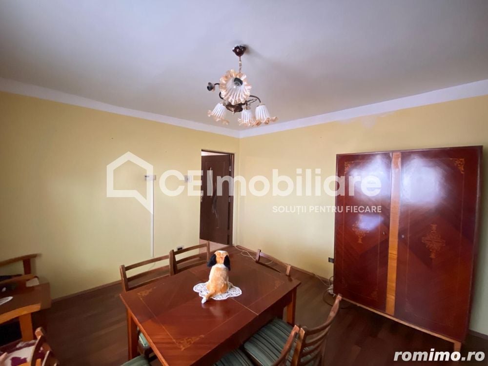 Apartamente de vânzare Lugoj